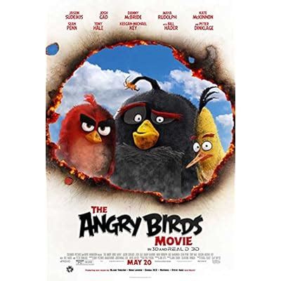 Angry Birds Movie Poster 11 x 17 Style A Unframed India | Ubuy