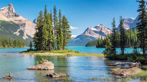 71,160 Cheap Flights from Dubai to Canada in 2026 | momondo