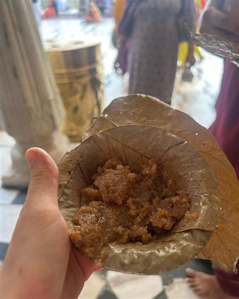 Uorfi Javed visits Golden Temple in pink salwar suit, fans say 'a girl ...