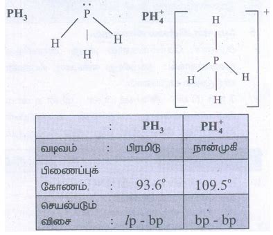ஆர்பிட்டால் இனக்கலப்பு - வேதிப் பிணைப்புகள் | Orbital Overlap ...