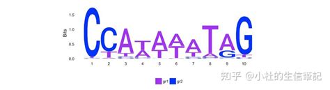 Two Sample Logo 的图像结果