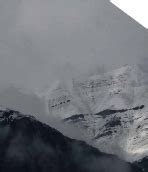 Dr. Fixit Color View | Launch Visualiser