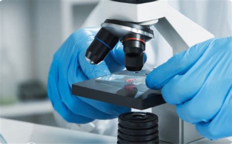 Accuprobe Diagnostics