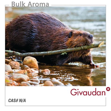 Castoreum Givco 116 - GIVAUDAN – Bulkaroma