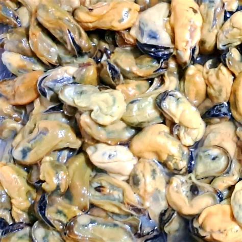 Mussels (Meat Only) - Green Indian – Catch of Norway Seafood