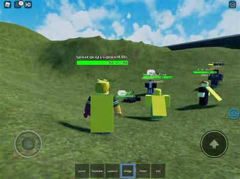 Image result for Ragdoll System Test Script