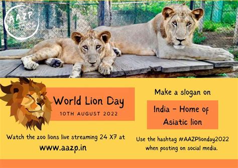 Arignar Anna Zoological Park - Vandalur Zoo - Chennai Tamil Nadu