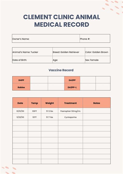 Veterinary Medical Chart Template in Illustrator, PDF - Download ...