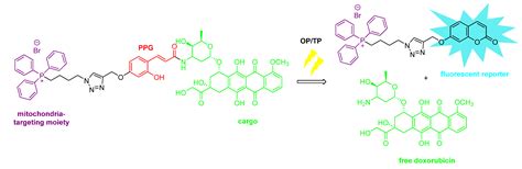 Photoremovable Protecting Groups