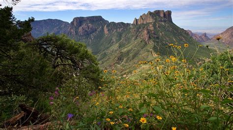 Amazing Views Adventure 的图像结果