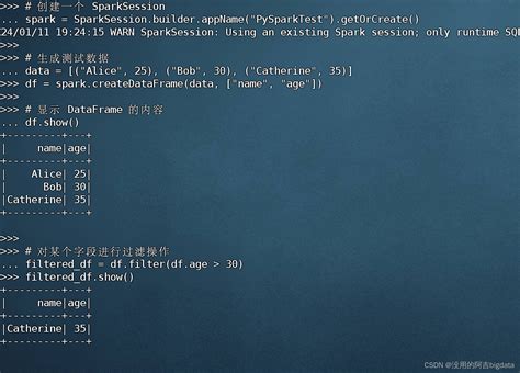Pyspark Code Example 的图像结果