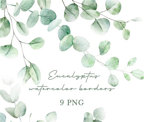 Watercolor Eucalyptus Border Greenery Border Clipart - Etsy