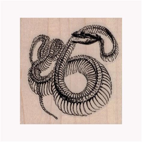 Snake Skeleton RUBBER STAMP, Snake Stamp, Snake Skeleton Stamp, Skull ...
