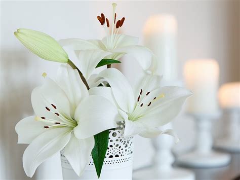 https://www.readersdigest.ca/wp-content/uploads/2021/11/christmas-flowers-white-lilies-in-vase.jpg?fit=700%2C525