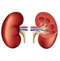 Best Hospital in Sakinaka Powai