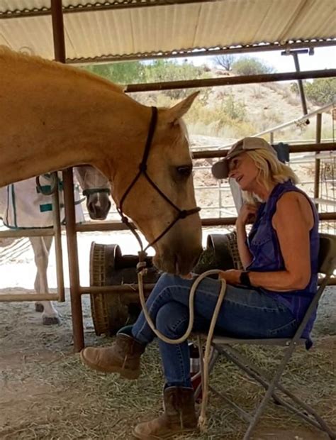 Wild Sage Horse Rescue Tack Sale, 1100 Kentucky Springs Rd, Acton, CA ...