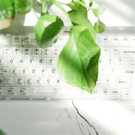 Image result for Transparent Computer Keyboard