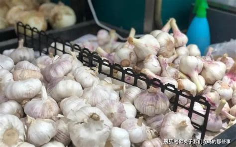 丰台区北京市张金正：北京大蒜种子6.8元/斤 - 葱蒜种子价格网