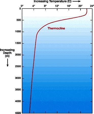 Temperature influence in salinity of sea water - Brainly.in