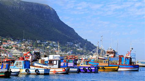 Jus Soli Countries: Nations Offering Citizenship by Birth