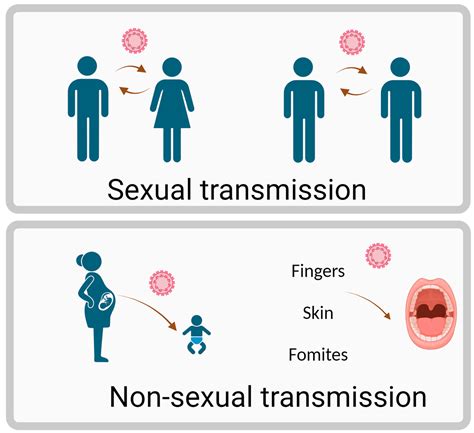 HPV Infection and Oral Microbiota: Interactions and Future Implications