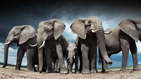 Watch Life Story Web Series Online, All Seasons and Episodes | Hindi ...