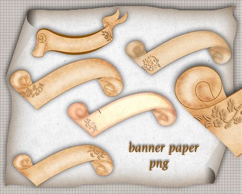 Image result for Paper Shell Banner
