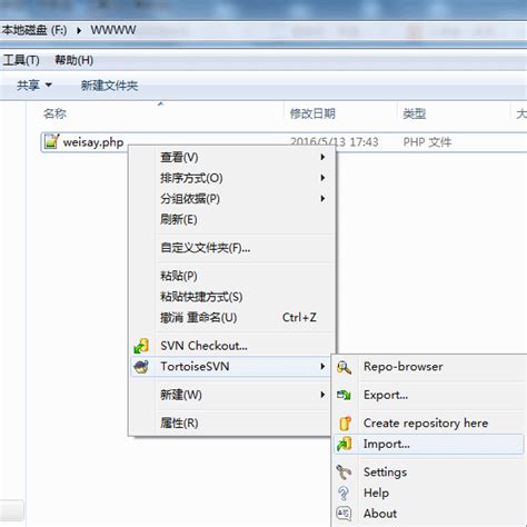 「其他分享」用TortoiseSVN本地搭建SVN服务器 – Eswlnk Blog