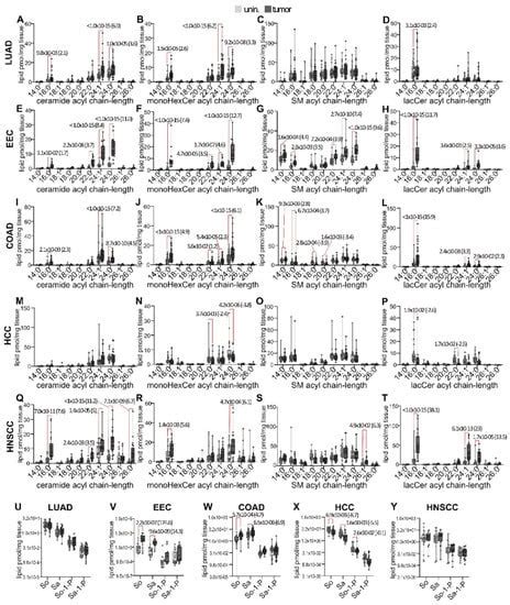 Cancers | Special Issue : Advancing Health Equity to Reduce Cancer ...