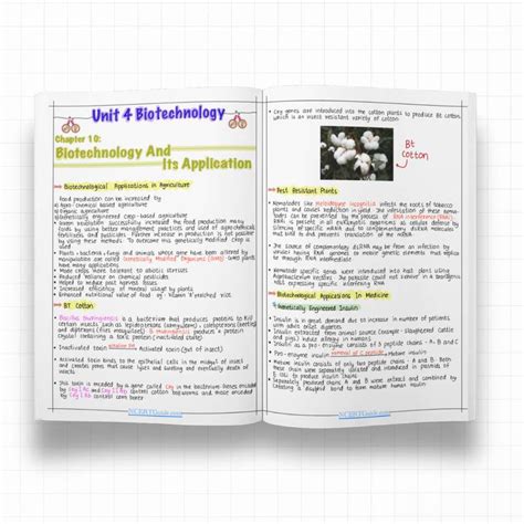 Class 12 Biology Short Notes | Handwritten & Colorful | CBSE Board ...