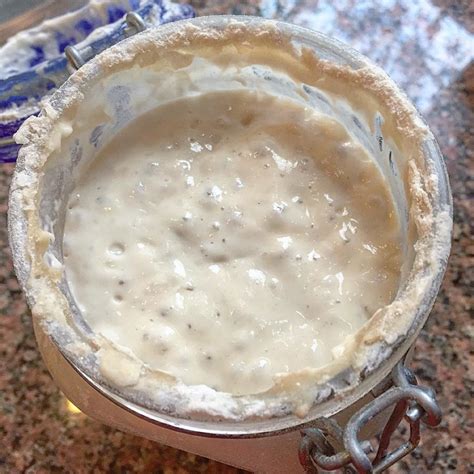 Sourdough Starter (Dry) - Breadtopia