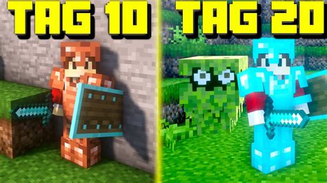 Image result for Lass LP Minecraft Mods