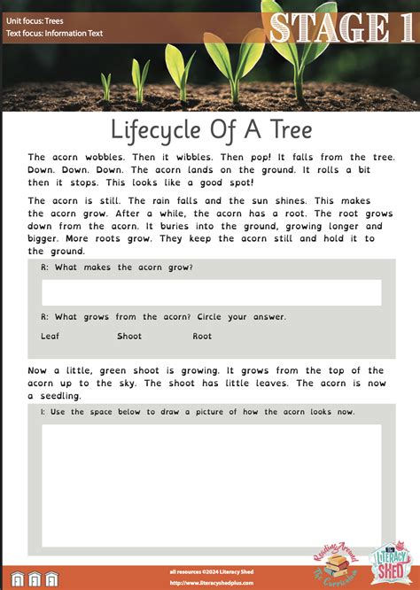 Image result for Growth Tree Object Lesson CEF