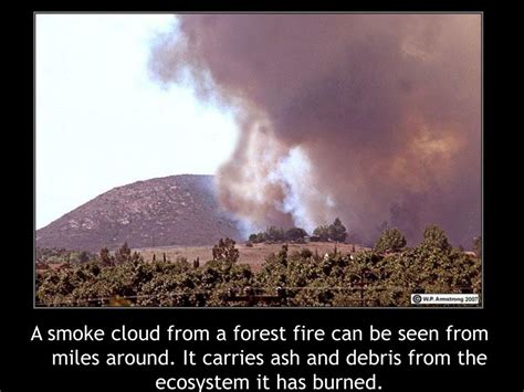 Image result for Secondary Succession Fire Example