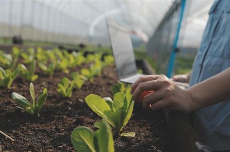 Asian woman farmer using digital tablet in vegetable garden at ...