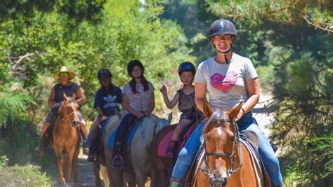 Enchanted Forest Horse Ride (Korohe Horse Treks) | Activities & Day ...
