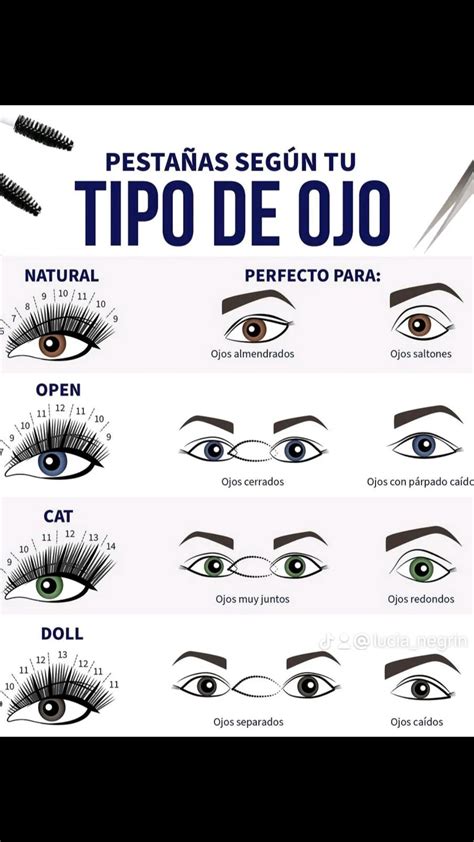Pestañas según tu tipo de ojos | Pestañas, Cejas y pestañas, Consejos ...