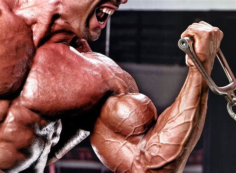 Alimentos para aumentar la testosterona – La Revista IN