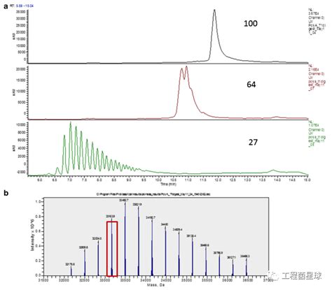 RNA Polya 的图像结果