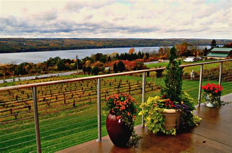 Best Wineries Around Cayuga Lake at Nancy Whaley blog