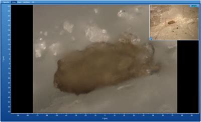 View Sharp™ Acquire the Topography of the Analyzed Sample & sharp, In ...