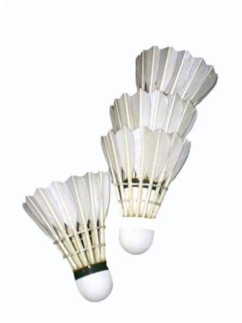 Shuttlecock 的图像结果