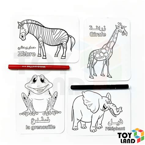 Product Details || Toy Land Company: children's toys, bicycles, and ...