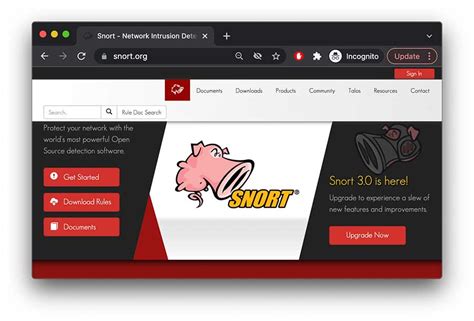 Network Scan Tools 的图像结果