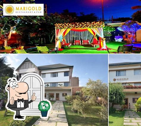 Marigold Restaurant Bar & Pub, Bengaluru - Restaurant menu, prices and ...