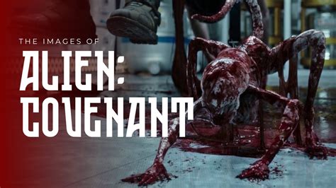 Alien Covenant 123Movies 的图像结果