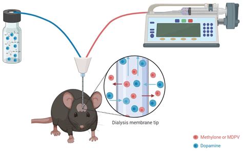 Dopamine Concentration Changes Associated with the Retrodialysis of ...