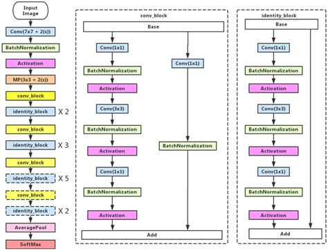 Optimized Deep Convolutional Neural Networks for Identification of ...