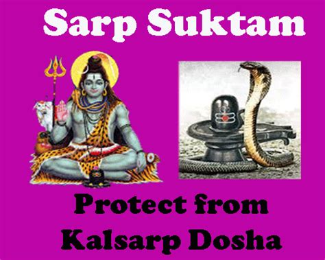 Astrologer, predictions, horoscope, black magic, astroshree, Best ...