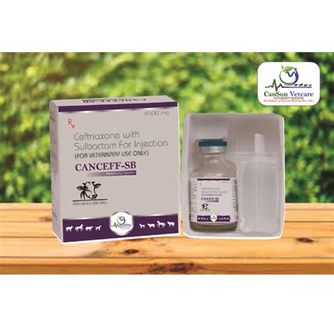 Ceftriaxone Sulbactam Injection For Veterinary Use Only Cansun Medcare